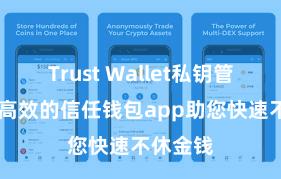 Trust Wallet私钥管理 安全高效的信任钱包app助您快速不休金钱